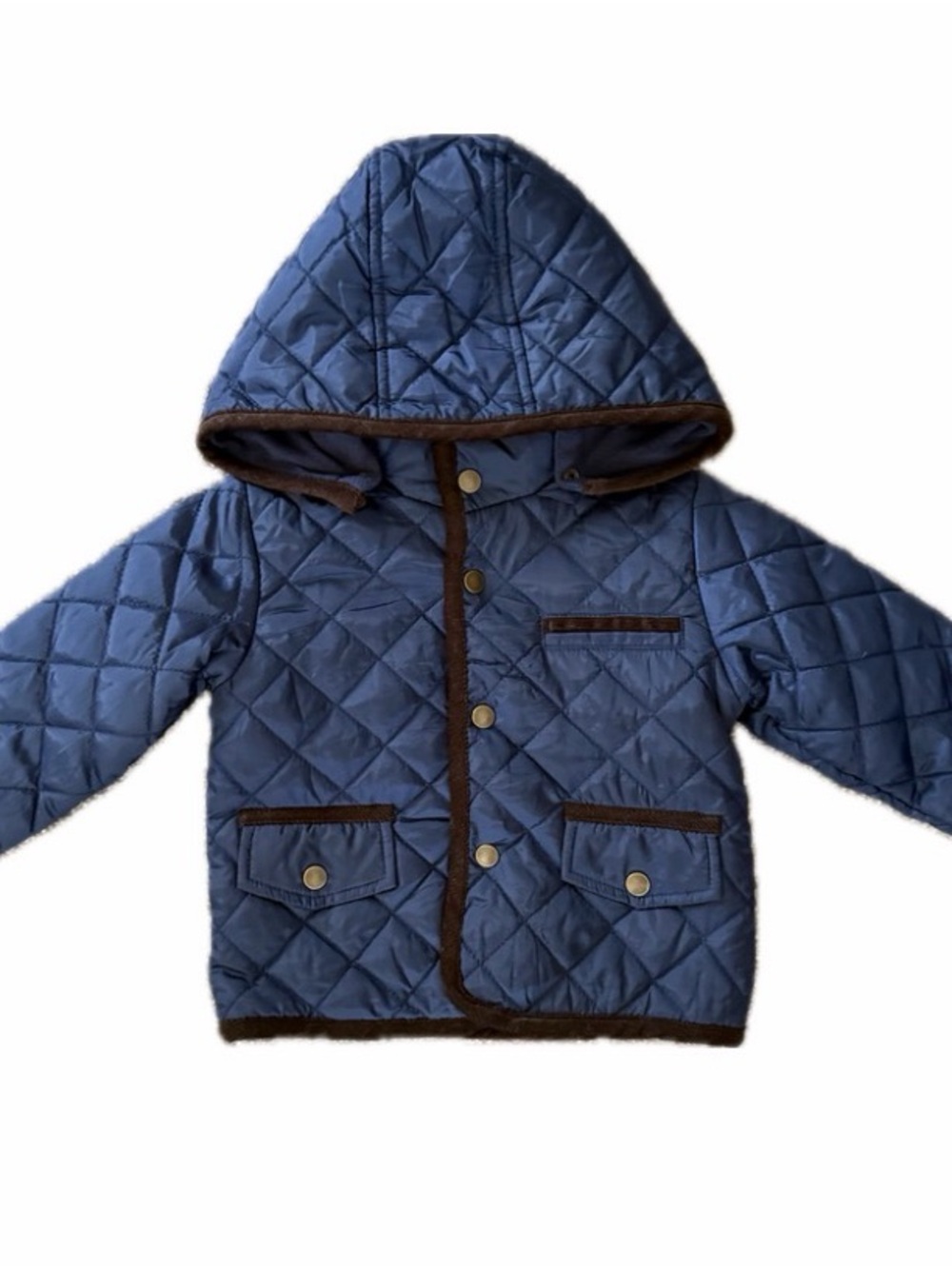 Starting Out Quilted Hooded Puffer Jacket in Blue with Brown Trim